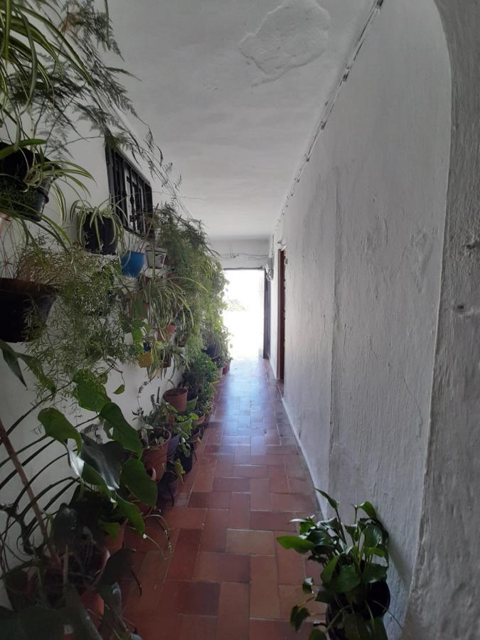 Dos Casitas, Dos Calles, - Loft De La Morena O Estudio Jr Vejer de la Frontera Exteriör bild